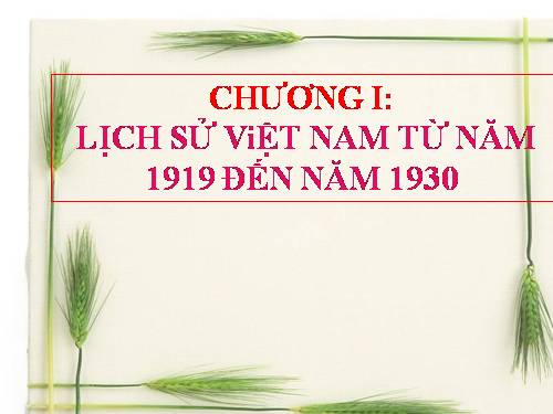 Bài 12. Phong trào dân tộc dân chủ ở Việt Nam từ năm 1919 đến năm 1925