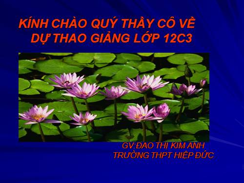 Bài 17. Nước Việt Nam Dân chủ Cộng hoà từ sau ngày 2-9-1945 đến trước ngày 19-12-1946