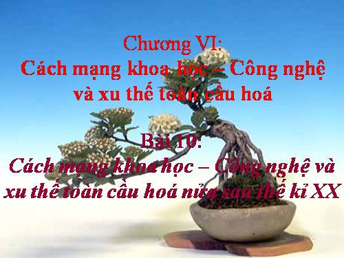 Bài 10. Cách mạng khoa học - công nghệ và xu thế toàn cầu hóa sau nửa thế kỉ XX