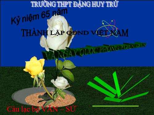 ngoai khoa 22 thang 12