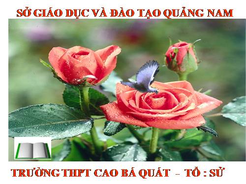 Bài 13. Phong trào dân tộc dân chủ ở Việt Nam từ năm 1925 đến năm 1930