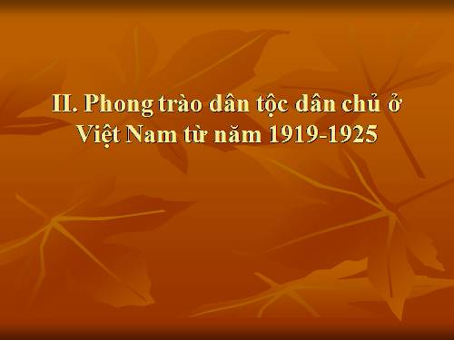 Bài 12. Phong trào dân tộc dân chủ ở Việt Nam từ năm 1919 đến năm 1925