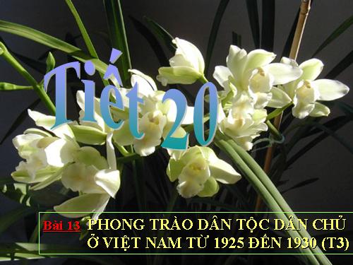 Bài 13. Phong trào dân tộc dân chủ ở Việt Nam từ năm 1925 đến năm 1930