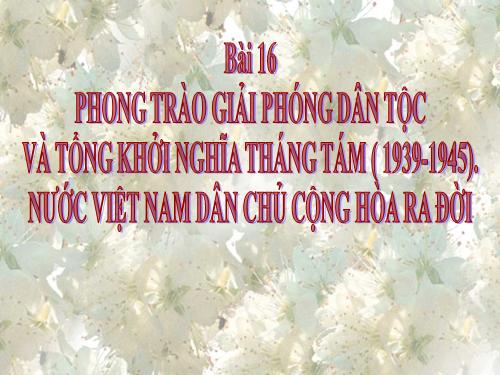 Bài 16. Phong trào giải phóng dân tộc và Tổng khởi nghĩa tháng Tám (1939 - 1945). Nước Việt Nam Dân chủ Cộng hoà ra đời