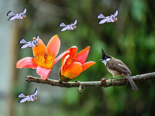 Bài 31. Thực hành: Quan sát bầu trời.