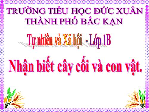 Bài 29. Nhận biết cây cối và con vật