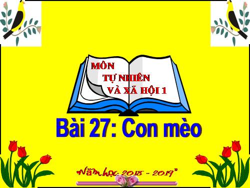 Bài 27. Con mèo