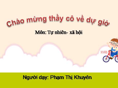 Bài 29. Nhận biết cây cối và con vật