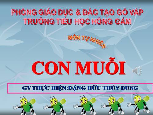 Bài 28. Con muỗi