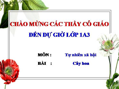 Bài 23. Cây hoa