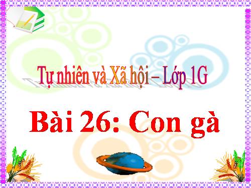 Bài 26. Con gà