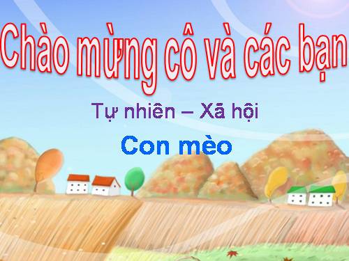 Bài 27. Con mèo