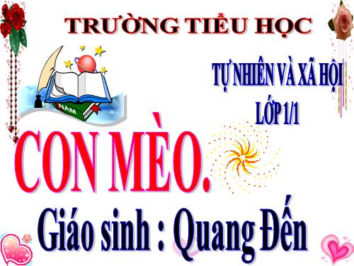 Bài 27. Con mèo