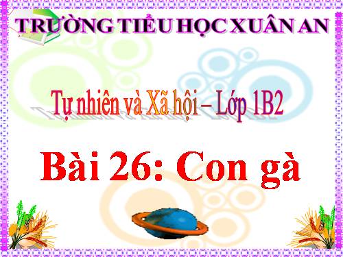 Bài 26. Con gà