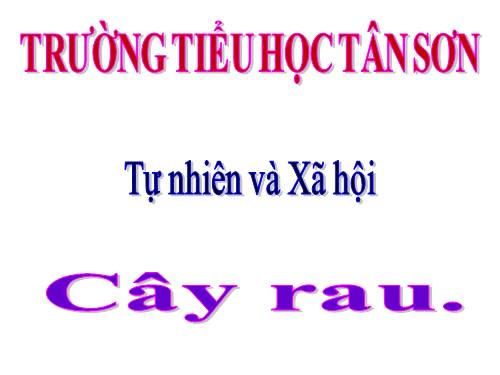 Bài 22. Cây rau