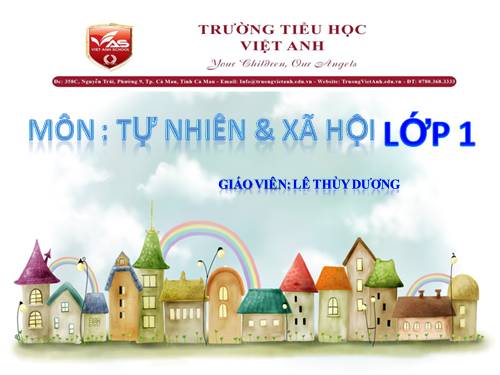 Bài 20. An toàn trên đường đi học