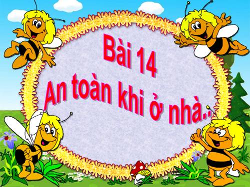 Bài 14. An toàn khi ở nhà