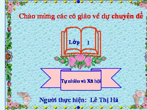 Bài 4. Bảo vệ mắt và tai