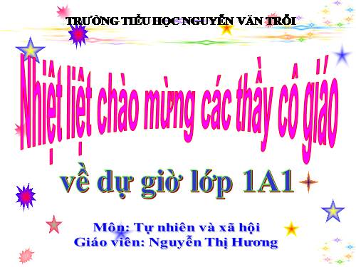 Bài 13. Công việc ở nhà.