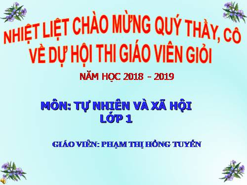 Bài 14. An toàn khi ở nhà