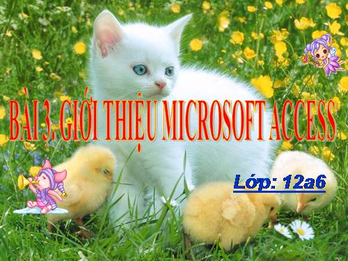 Bài 3. Giới thiệu Microsoft Access