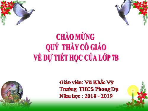 Các bài Luyện tập