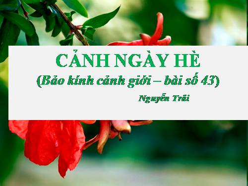 Tuần 13. Cảnh ngày hè (Bảo kính cảnh giới)