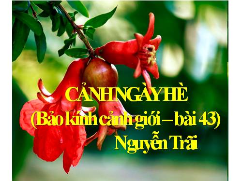 Tuần 13. Cảnh ngày hè (Bảo kính cảnh giới)