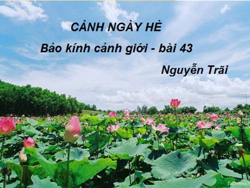 Tuần 13. Cảnh ngày hè (Bảo kính cảnh giới)