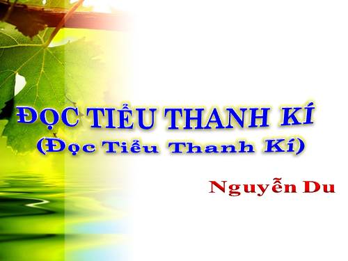 Tuần 14. Đọc Tiểu Thanh kí (Độc Tiểu Thanh kí)