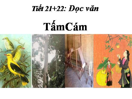 Tuần 7. Tấm Cám