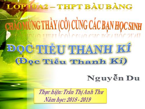 Tuần 14. Đọc Tiểu Thanh kí (Độc Tiểu Thanh kí)