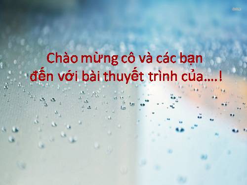 Tuần 8. Tam đại con gà