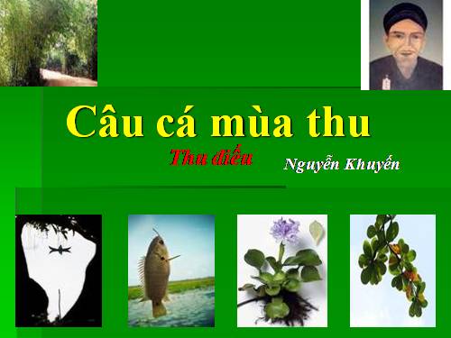 Tuần 16. Cảm xúc mùa thu (Thu hứng)