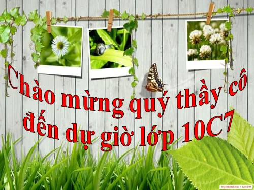 Tuần 19. Đại cáo bình Ngô (Bình Ngô đại cáo)