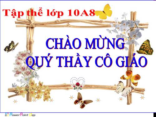 Tuần 33. Viết quảng cáo