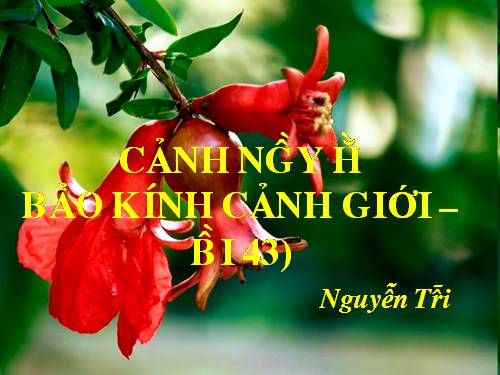 Tuần 13. Cảnh ngày hè (Bảo kính cảnh giới)