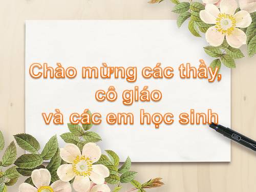 Tuần 27. Tình cảnh lẻ loi của người chinh phụ