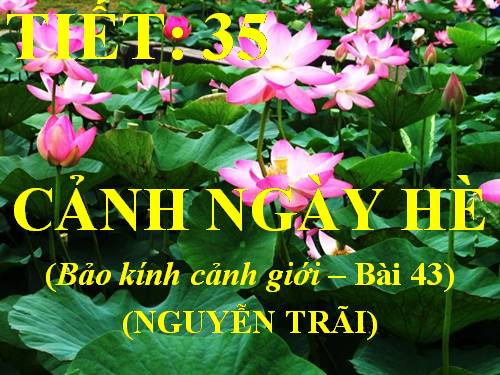 Tuần 13. Cảnh ngày hè (Bảo kính cảnh giới)