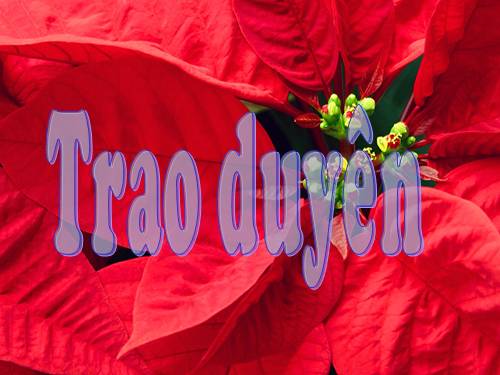 Tuần 29. Trao duyên