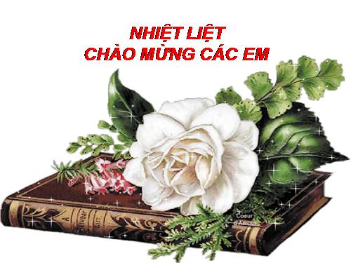 Tuần 7. Tây Tiến