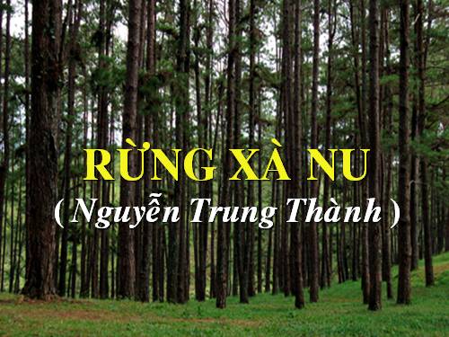 Tuần 22. Rừng xà nu