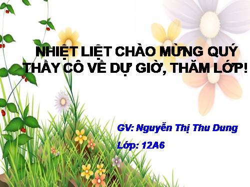 Tuần 16. Người lái đò Sông Đà