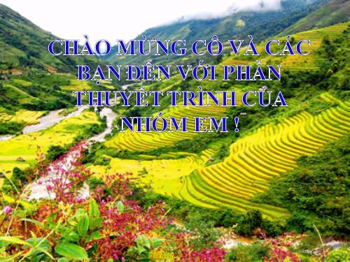 Tuần 19. Vợ chồng A Phủ