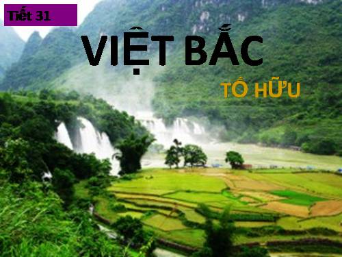 Tuần 8. Việt Bắc