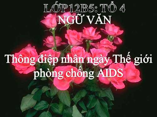 Tuần 6. Thông điệp nhân Ngày Thế giới phòng chống AIDS, 1 -12-2003