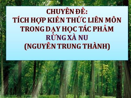 Tuần 22. Rừng xà nu