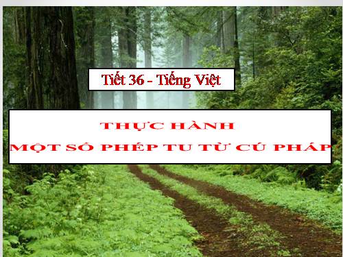 Tuần 12. Thực hành một số phép tu từ cú pháp