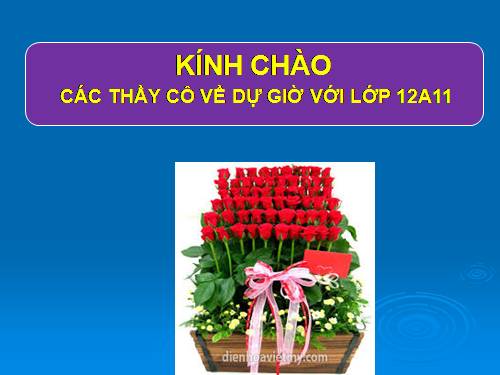 Tuần 6. Thông điệp nhân Ngày Thế giới phòng chống AIDS, 1 -12-2003