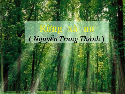 Tuần 22. Rừng xà nu